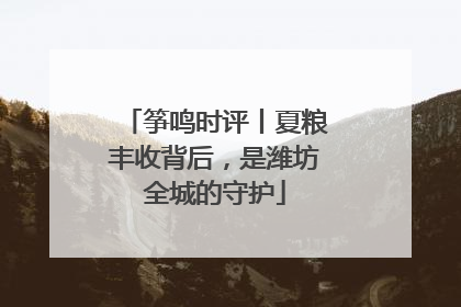 筝鸣时评丨夏粮丰收背后，是潍坊全城的守护
