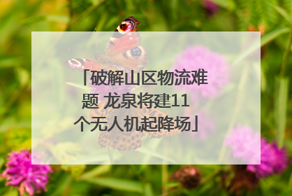 破解山区物流难题 龙泉将建11个无人机起降场