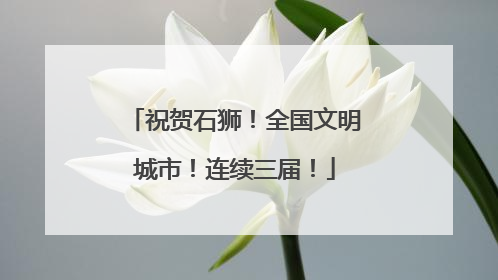 祝贺石狮！全国文明城市！连续三届！
