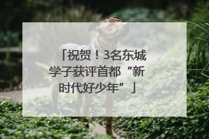 祝贺！3名东城学子获评首都“新时代好少年”