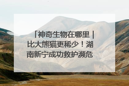神奇生物在哪里｜比大熊猫更稀少！湖南新宁成功救护濒危鸟类海南鳽