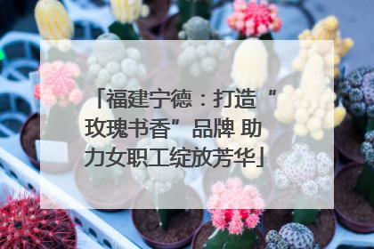 福建宁德：打造“玫瑰书香”品牌 助力女职工绽放芳华
