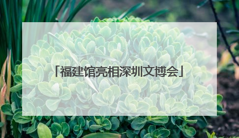福建馆亮相深圳文博会