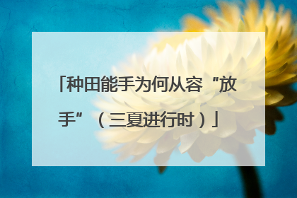 种田能手为何从容“放手”（三夏进行时）