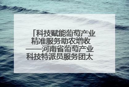 科技赋能葡萄产业 精准服务助农增收——河南省葡萄产业科技特派员服务团太康县科技服务纪实
