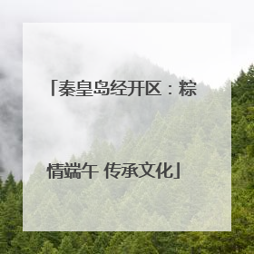 秦皇岛经开区：粽情端午 传承文化
