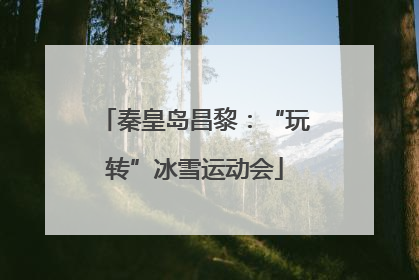 秦皇岛昌黎：“玩转”冰雪运动会