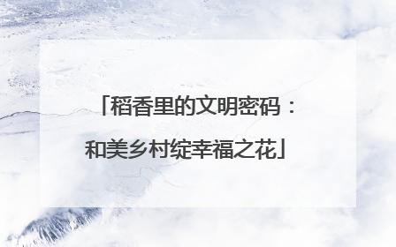 稻香里的文明密码：和美乡村绽幸福之花