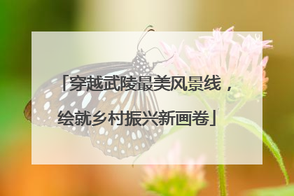 穿越武陵最美风景线，绘就乡村振兴新画卷