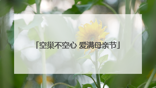 空巢不空心 爱满母亲节