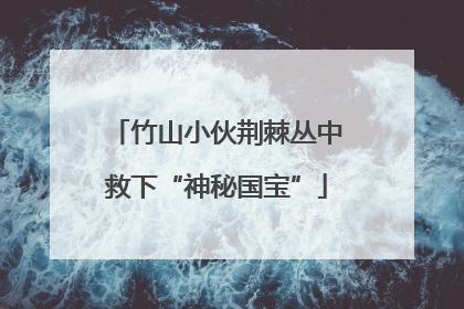 竹山小伙荆棘丛中救下“神秘国宝”