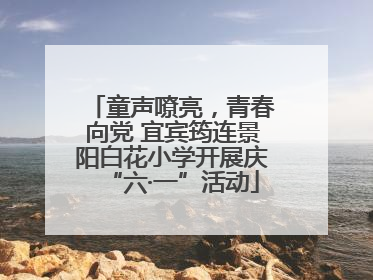 童声嘹亮，青春向党 宜宾筠连景阳白花小学开展庆“六·一”活动