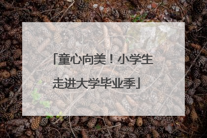 童心向美！小学生走进大学毕业季