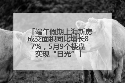 端午假期上海新房成交面积同比增长87%，5月9个楼盘实现“日光”