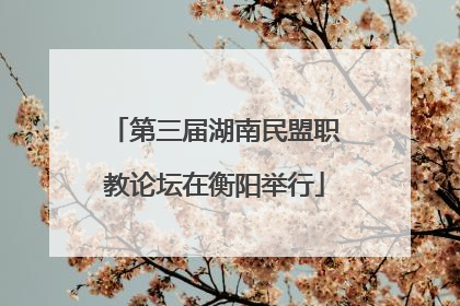 第三届湖南民盟职教论坛在衡阳举行
