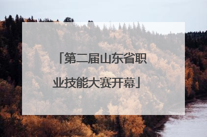 第二届山东省职业技能大赛开幕