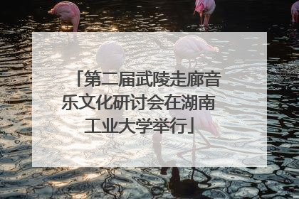 第二届武陵走廊音乐文化研讨会在湖南工业大学举行
