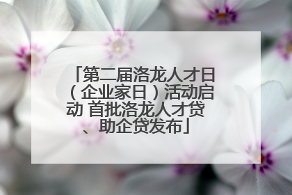 第二届洛龙人才日（企业家日）活动启动 首批洛龙人才贷、助企贷发布