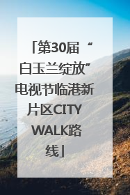 第30届“白玉兰绽放”电视节临港新片区CITY WALK路线