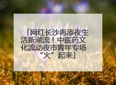 网红长沙再添夜生活新潮流！中医药文化流动夜市青年专场“火”起来