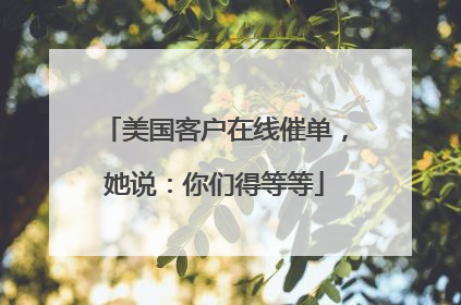 美国客户在线催单，她说：你们得等等