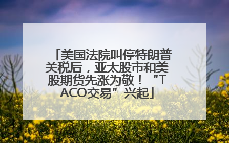 美国法院叫停特朗普关税后，亚太股市和美股期货先涨为敬！“TACO交易”兴起