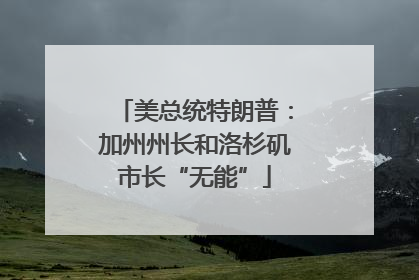 美总统特朗普：加州州长和洛杉矶市长“无能”