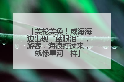 美轮美奂！威海海边出现“蓝眼泪”，游客：海浪打过来，就像星河一样