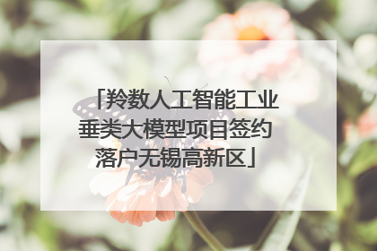 羚数人工智能工业垂类大模型项目签约落户无锡高新区