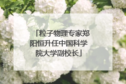 粒子物理专家郑阳恒升任中国科学院大学副校长