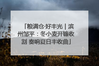 粮满仓·好丰光｜滨州邹平：冬小麦开镰收割 奏响夏日丰收曲