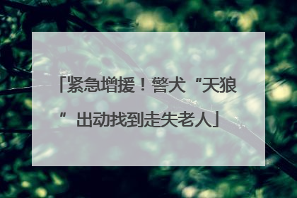 紧急增援！警犬“天狼”出动找到走失老人