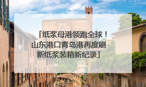 纸浆母港领跑全球！山东港口青岛港再度刷新纸浆装箱新纪录