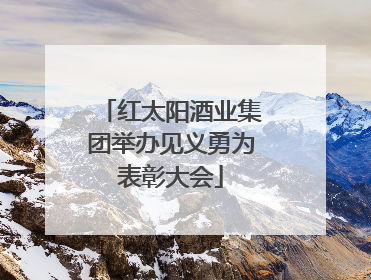 红太阳酒业集团举办见义勇为表彰大会
