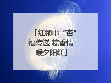 红领巾“杏”福传递 粽香情暖夕阳红