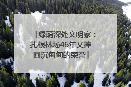 绿荫深处文明家：扎根林场46年又捧回沉甸甸的荣誉