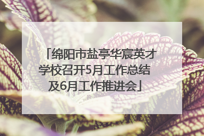 绵阳市盐亭华宸英才学校召开5月工作总结及6月工作推进会