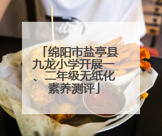 绵阳市盐亭县九龙小学开展一、二年级无纸化素养测评