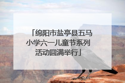 绵阳市盐亭县五马小学六一儿童节系列活动圆满举行