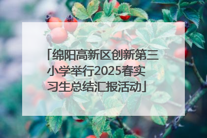 绵阳高新区创新第三小学举行2025春实习生总结汇报活动