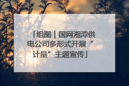 组图｜国网湘潭供电公司多形式开展“计量”主题宣传