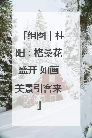 组图｜桂阳：格桑花盛开 如画美景引客来