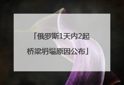 俄罗斯1天内2起桥梁坍塌原因公布