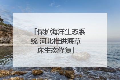 保护海洋生态系统 河北推进海草床生态修复