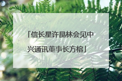 信长星许昆林会见中兴通讯董事长方榕