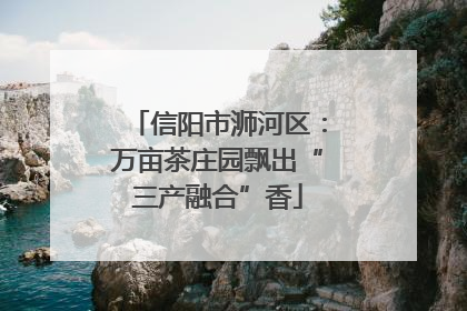 信阳市浉河区：万亩茶庄园飘出“三产融合”香
