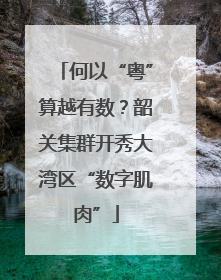 何以“粤”算越有数？韶关集群开秀大湾区“数字肌肉”