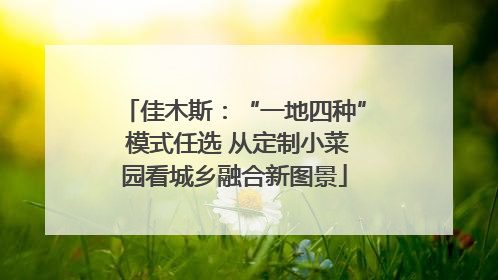 佳木斯：“一地四种” 模式任选 从定制小菜园看城乡融合新图景