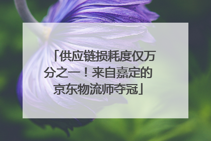 供应链损耗度仅万分之一！来自嘉定的京东物流师夺冠