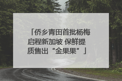 侨乡青田首批杨梅启程新加坡 保鲜提质售出“金果果”